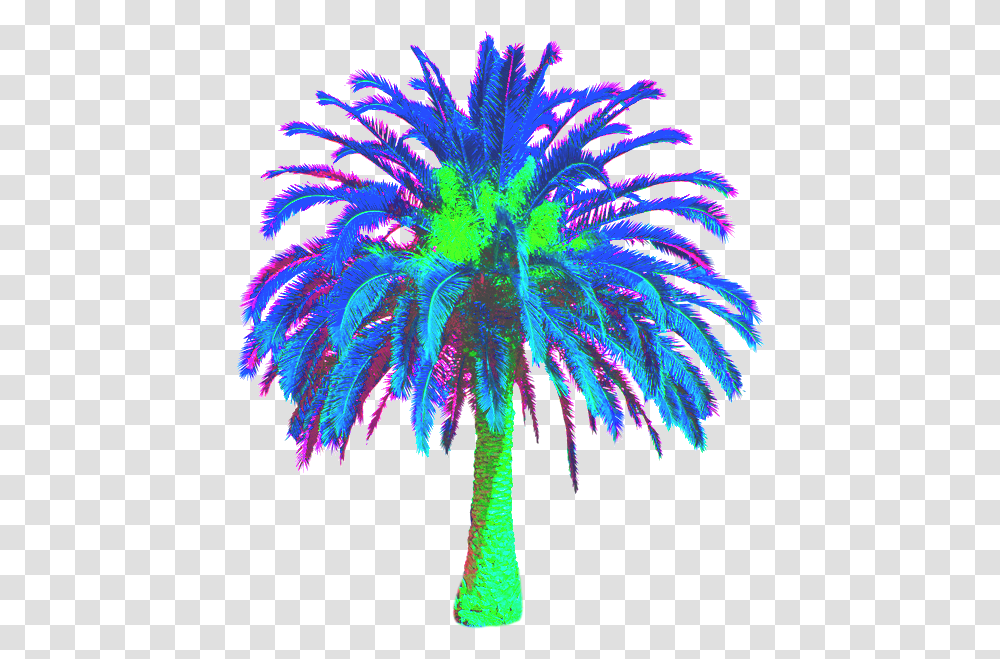 Vaporwave Palm Tree Date Palm Tree, Plant, Arecaceae, Light, Lighting Transparent Png
