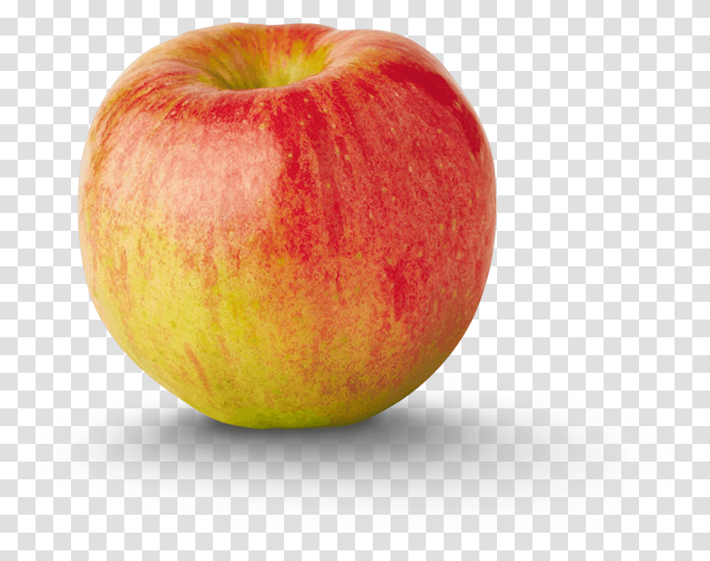 Varieties Archive New York Apple Association Apples, Fruit, Plant, Food Transparent Png