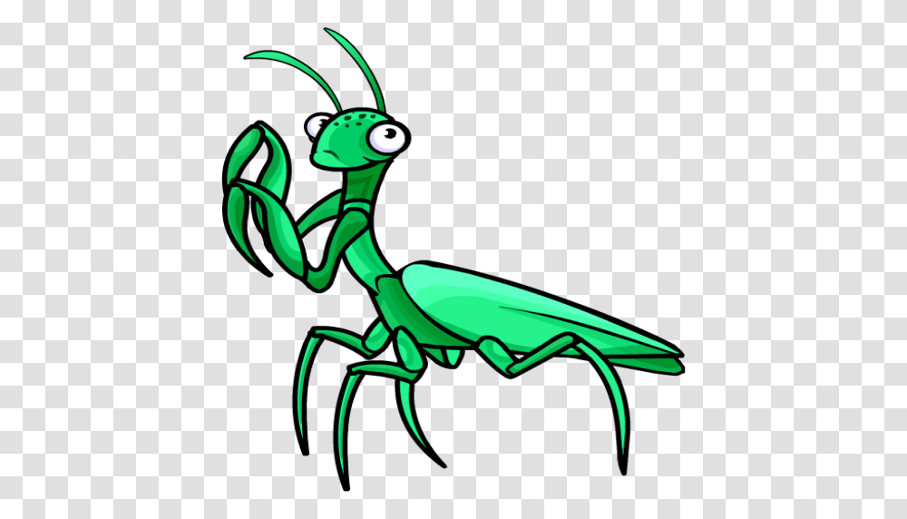 Varieties Of Mantis Appstore For Android, Invertebrate, Animal, Insect, Hammer Transparent Png