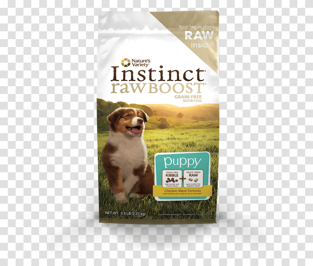 Variety Dog Food Puppy, Poster, Advertisement, Flyer, Paper Transparent Png