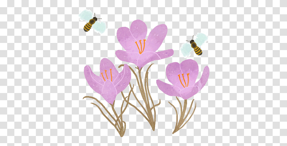Various Illustrations 2019 Flower Bee Gif, Plant, Blossom, Crocus, Petal Transparent Png