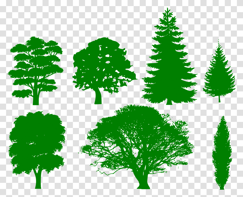 Various Tree Shape Silhouettes Tree Shape, Green, Leaf, Plant, Vegetation Transparent Png