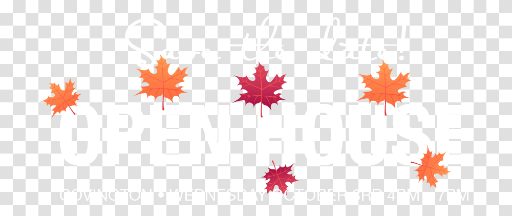 Vasanthi, Leaf, Plant, Tree, Maple Leaf Transparent Png