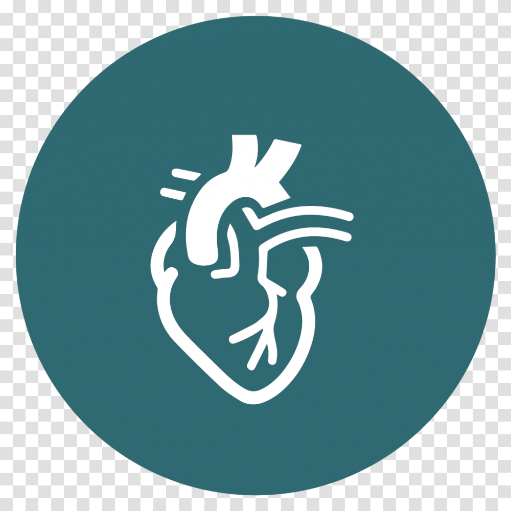 Vascular Surgery Hospitals In Delhi Cardiovascular Icon, Logo, Symbol, Hand, Text Transparent Png