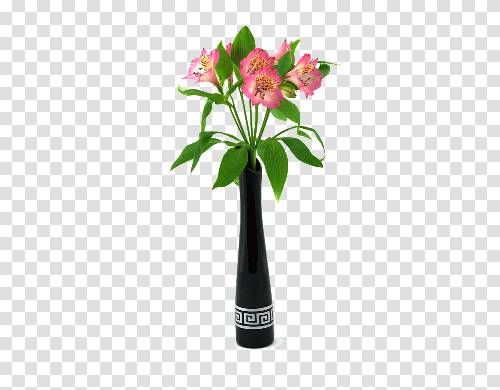 Vase 960, Flower, Plant, Blossom, Ikebana Transparent Png