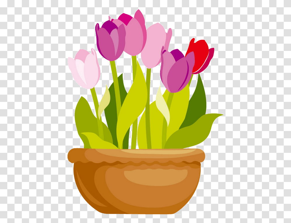 Vase Clipart Tulip Free For Flower Pot Vector, Plant, Blossom, Flower Bouquet, Flower Arrangement Transparent Png