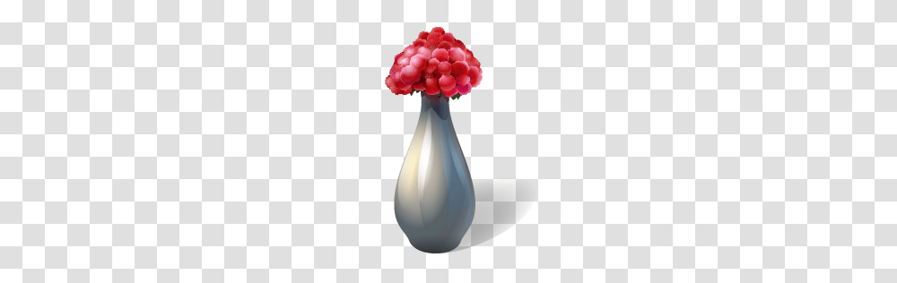 Vase, Flower, Jar, Pottery, Potted Plant Transparent Png