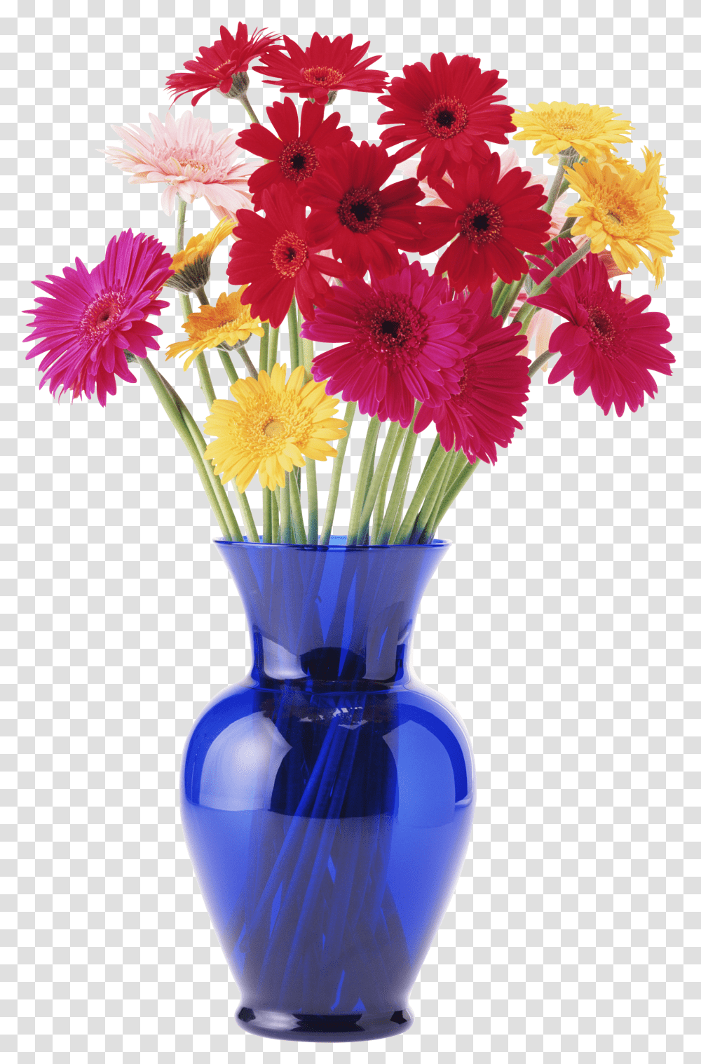 Vase, Flower, Plant, Blossom, Flower Arrangement Transparent Png