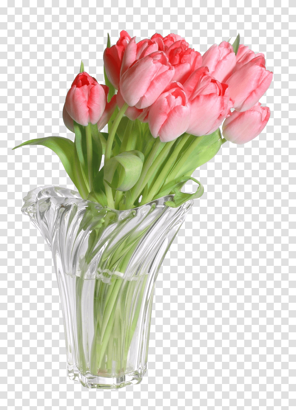 Vase, Flower, Plant, Blossom, Flower Bouquet Transparent Png