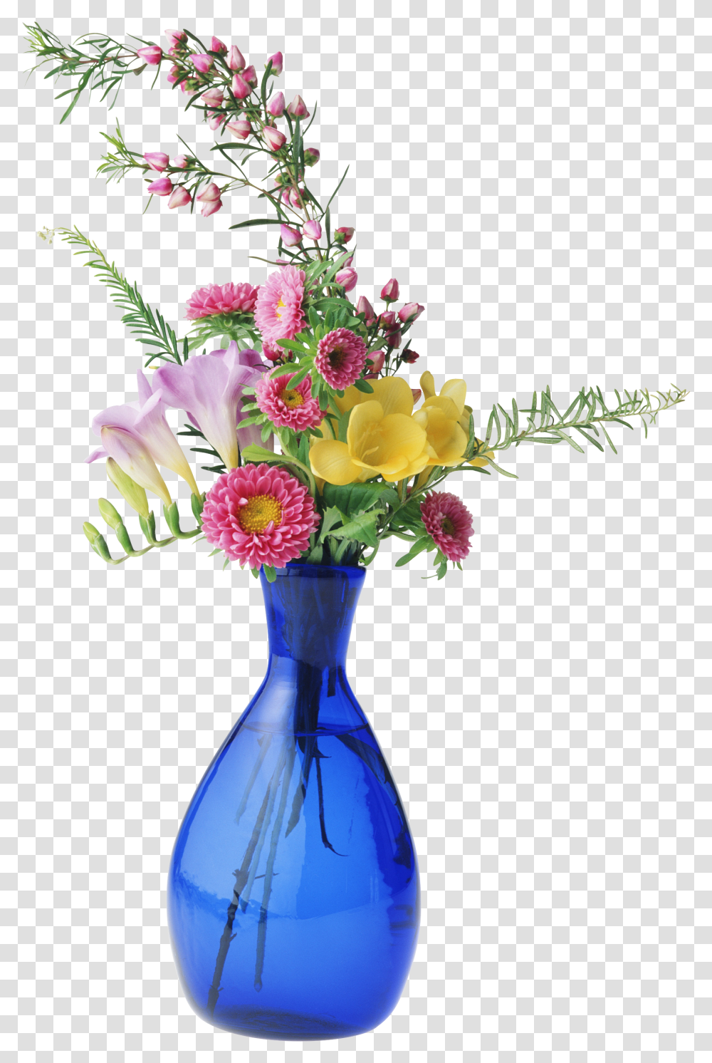 Vase Images Free Download, Plant, Flower, Blossom, Flower Bouquet Transparent Png