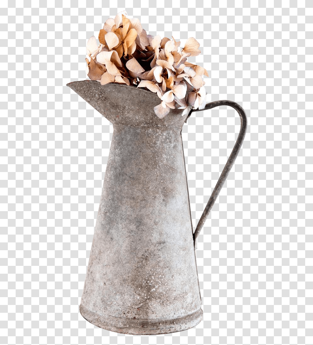 Vase, Jug, Plant, Water Jug, Flower Transparent Png