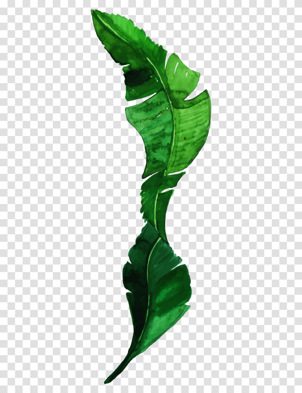 Vase, Leaf, Plant, Green, Flower Transparent Png