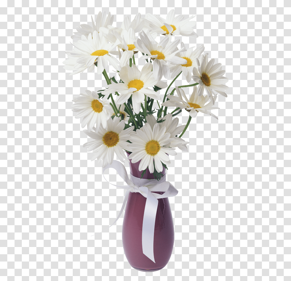 Vase Of Flowers, Plant, Blossom, Daisy, Daisies Transparent Png