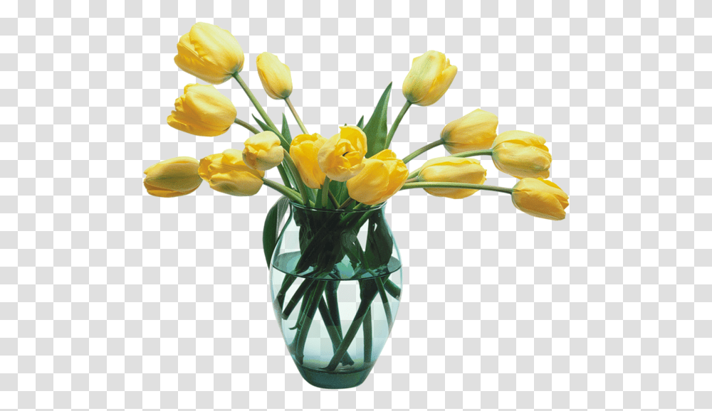 Vase Of Flowers, Plant, Blossom, Jar, Pottery Transparent Png