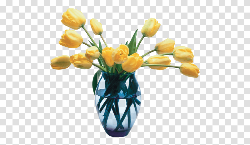 Vase Of Flowers, Plant, Jar, Pottery, Blossom Transparent Png