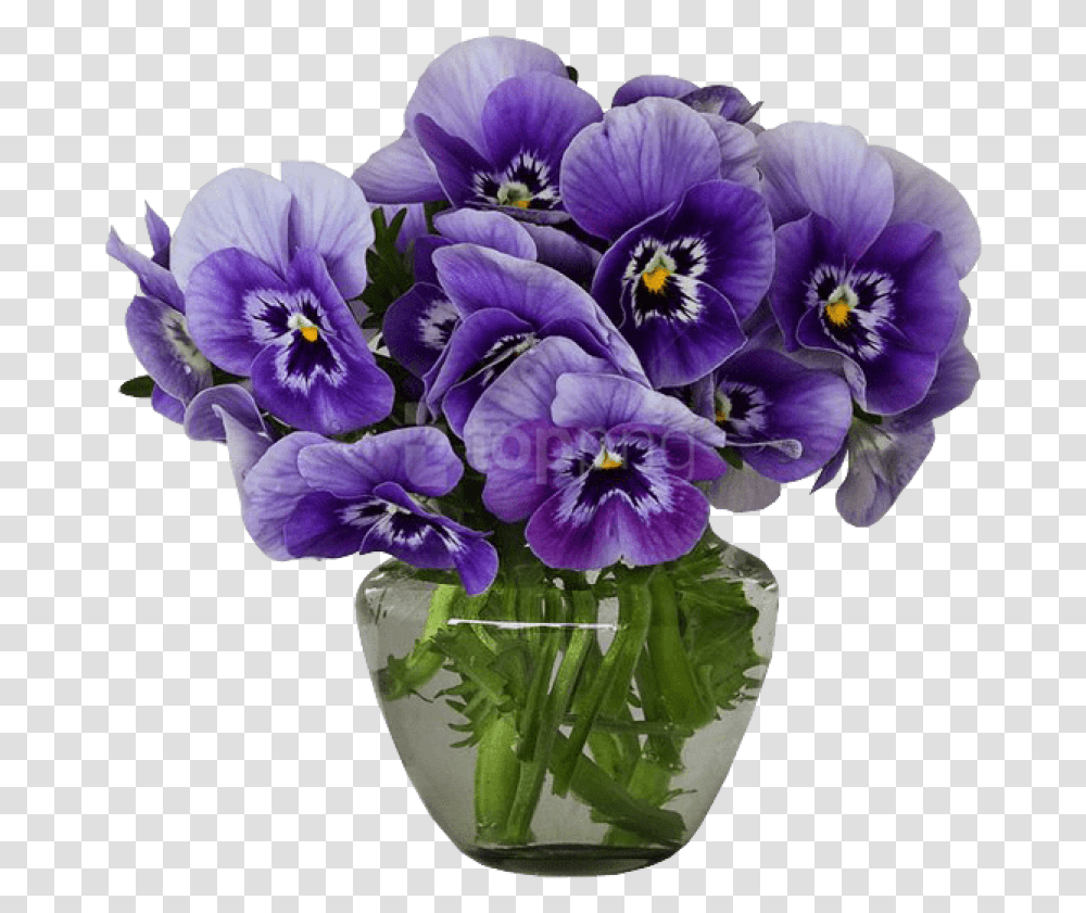 Vase Of Flowers Violets Flower In A Vase, Plant, Blossom, Pansy, Geranium Transparent Png