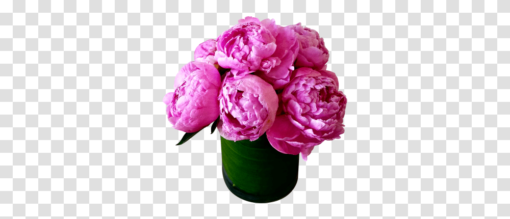 Vase Peony Clipart Hd Bouquets Peony Flower Birthday, Plant, Blossom, Rose, Flower Bouquet Transparent Png