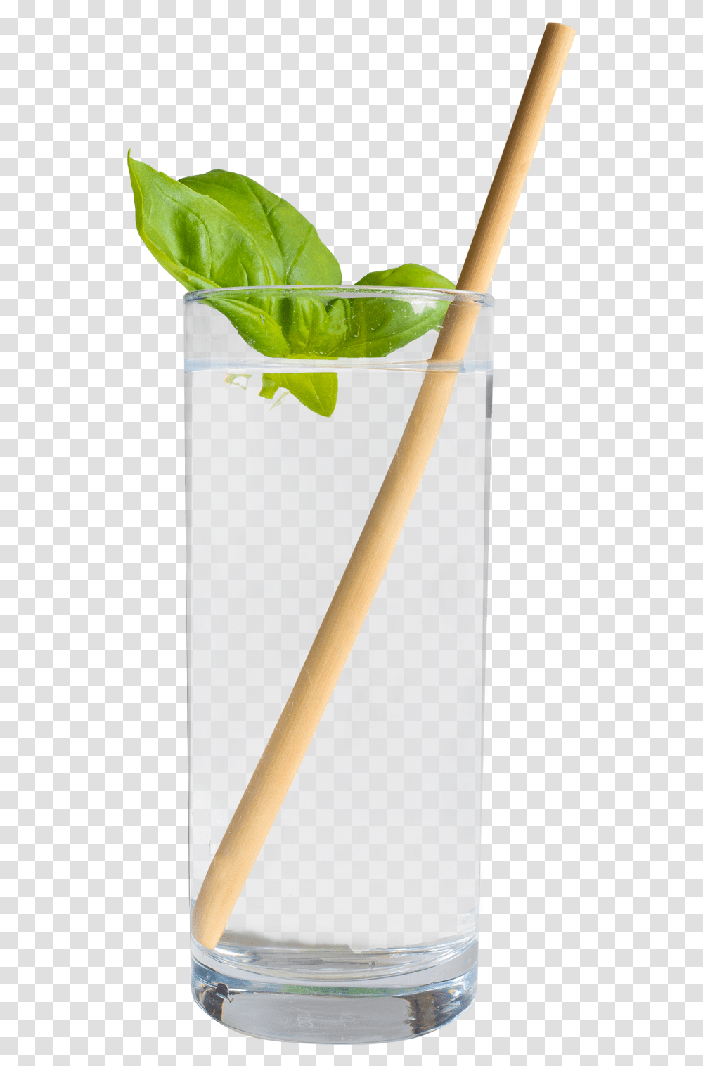 Vase, Plant, Cocktail, Alcohol, Beverage Transparent Png