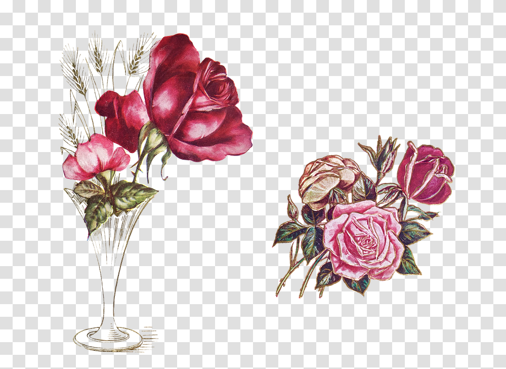 Vase, Plant, Flower, Blossom, Flower Arrangement Transparent Png