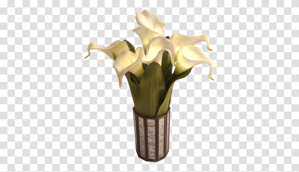 Vase, Plant, Flower, Blossom, Flower Arrangement Transparent Png