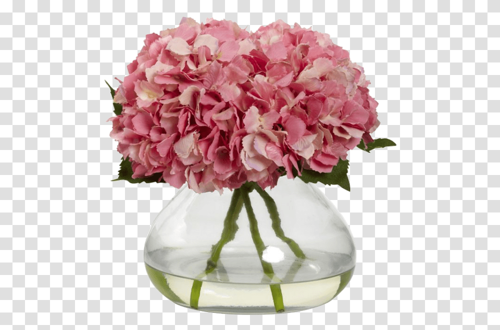 Vase, Plant, Flower, Blossom, Geranium Transparent Png