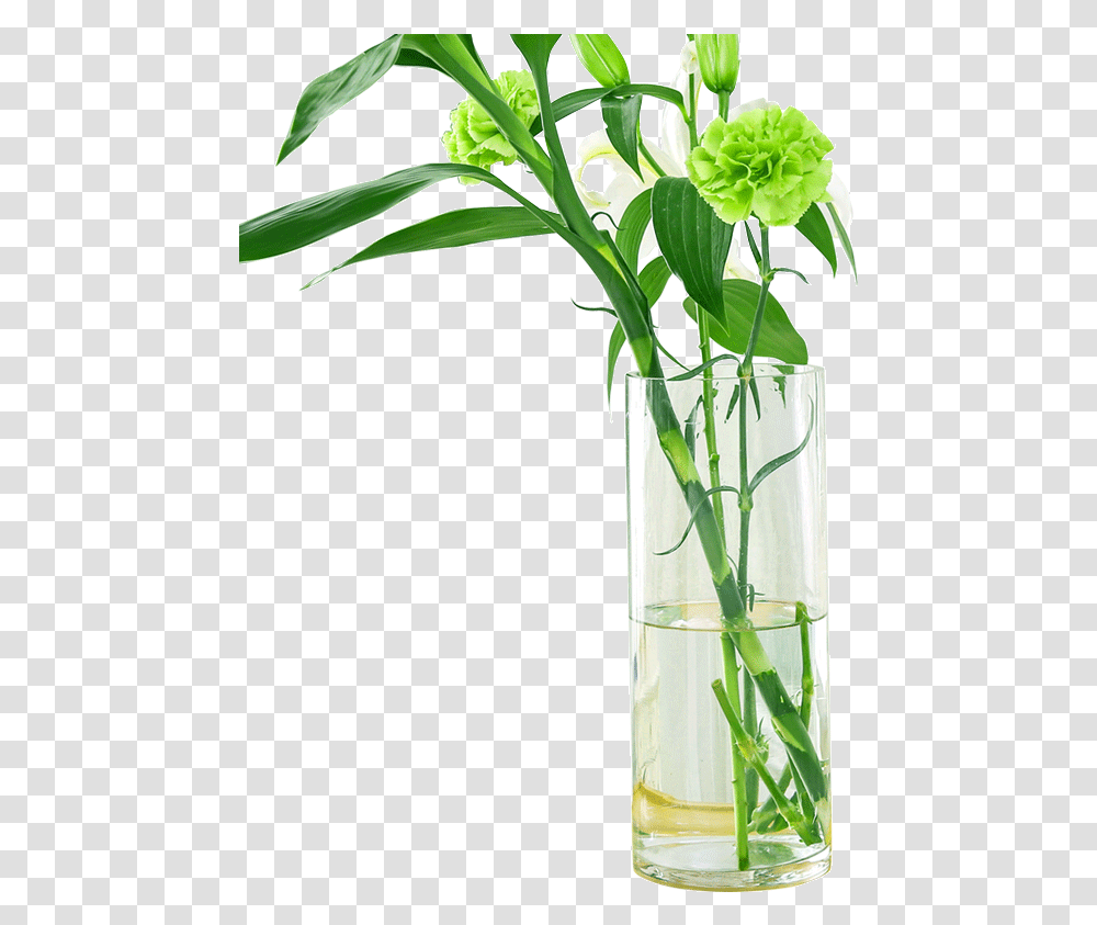 Vase, Plant, Flower, Blossom, Leaf Transparent Png