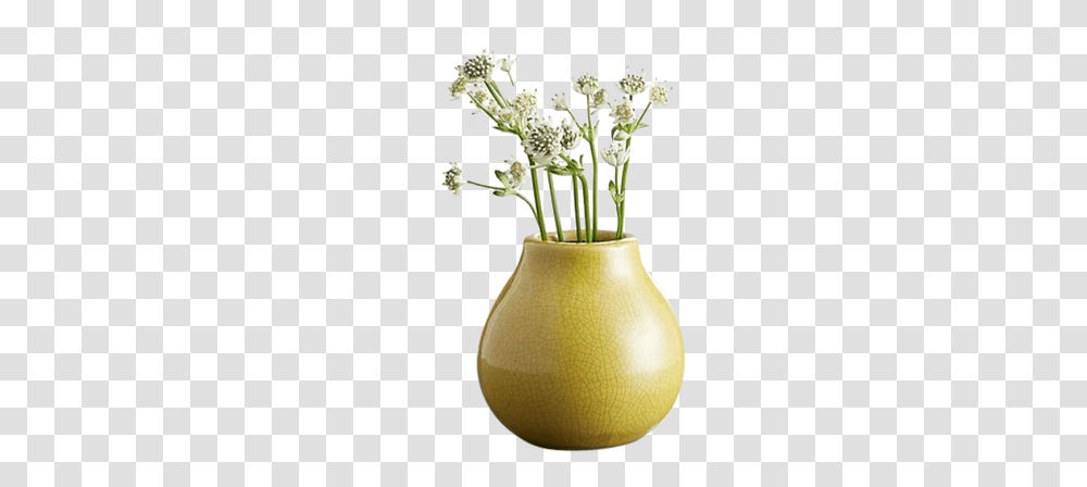 Vase, Plant, Green, Lamp, Flower Transparent Png