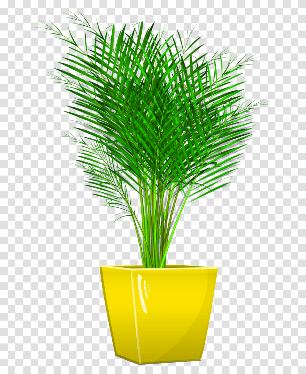 Vase, Plant, Green, Tree, Palm Tree Transparent Png