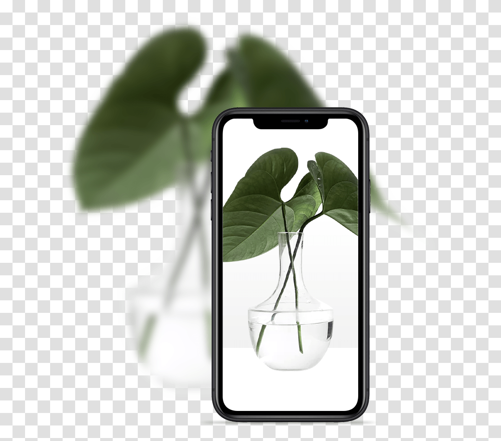 Vase Plants White Background, Mobile Phone, Electronics, Cell Phone, Hourglass Transparent Png