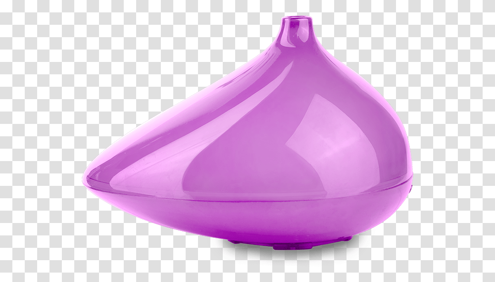 Vase, Purple, Plant, Petal, Flower Transparent Png