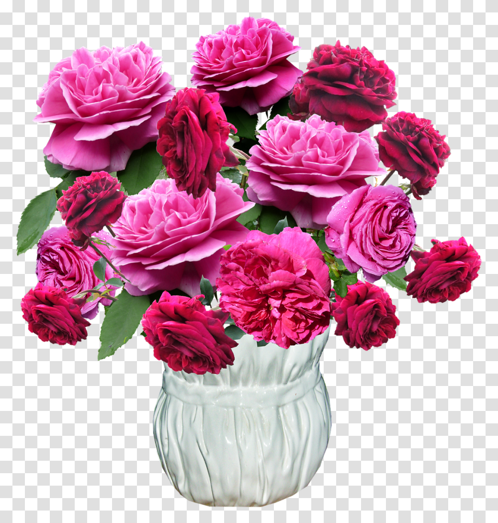 Vase Roses Red Free Photo Dobroj Subboti, Plant, Flower, Blossom, Carnation Transparent Png