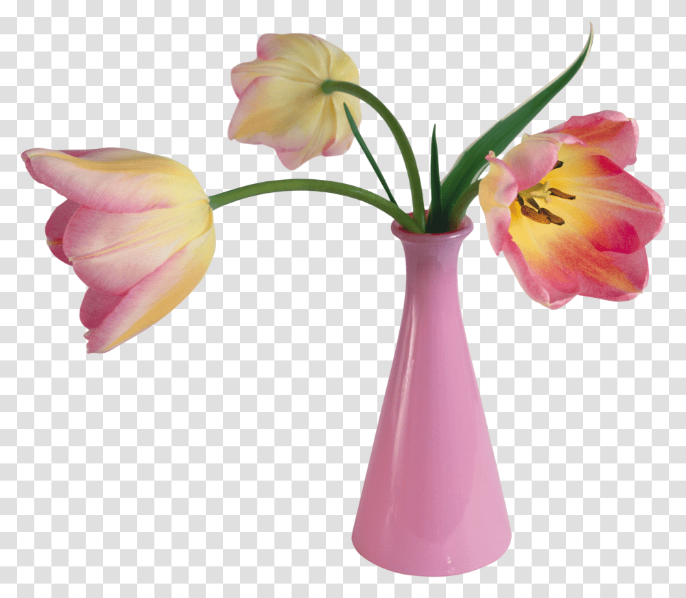 Vase Transparent Png