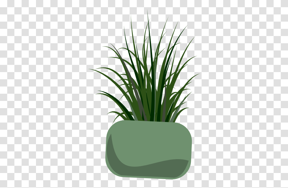 Vase With Grass Clip Art, Plant, Flower, Blossom Transparent Png