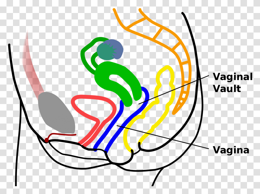 Vault Vagina Tampao Vagina, Dynamite, Bomb, Weapon, Weaponry Transparent Png
