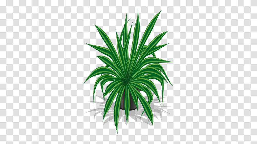 Vazy S Tcvetami Bukety Clip Art, Plant, Agavaceae, Vegetation, Palm Tree Transparent Png
