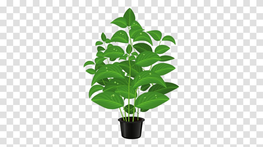 Vazy S Tcvetami Bukety Tree Flowers Flower Pots, Leaf, Plant, Green, Vegetation Transparent Png