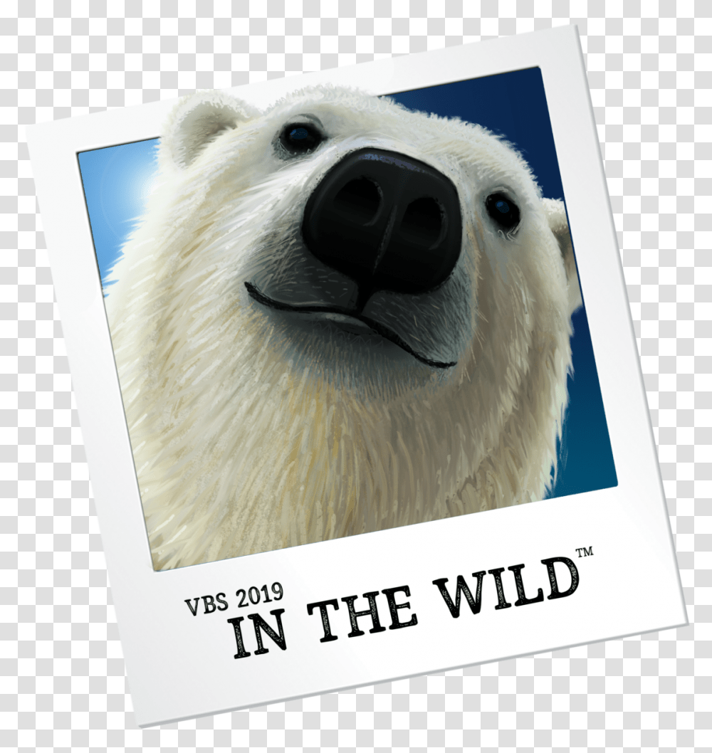 Vbs In The Wild 2019, Bear, Wildlife, Mammal, Animal Transparent Png