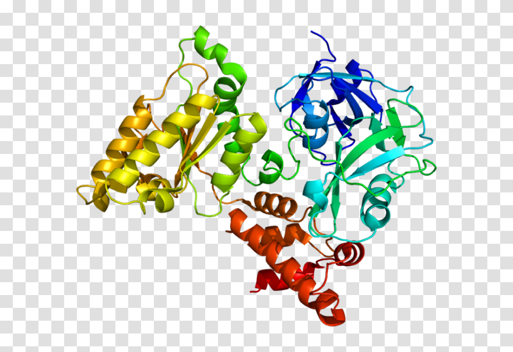 Vcp Protein, Neon, Light Transparent Png