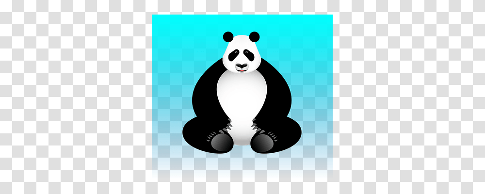 Vector Animals, Giant Panda, Bear, Wildlife Transparent Png