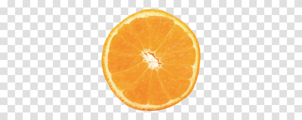 Vector Food, Citrus Fruit, Plant, Orange Transparent Png