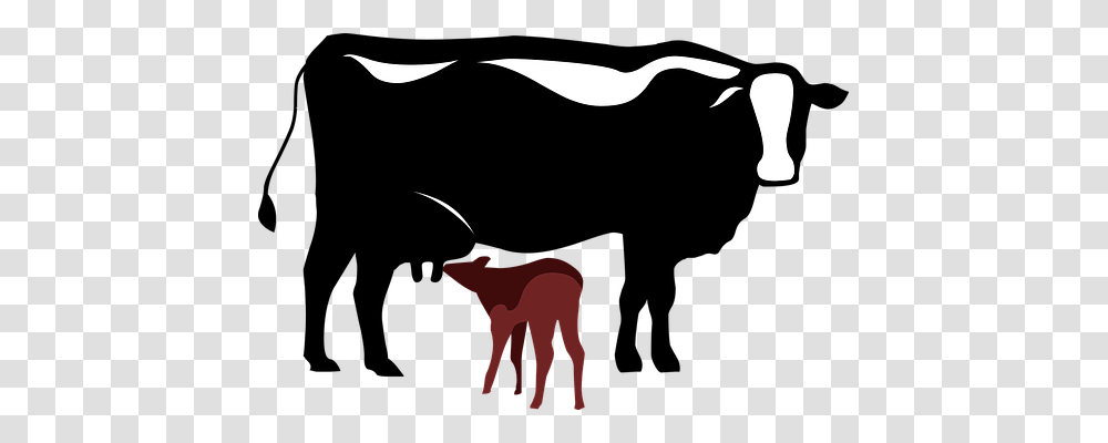 Vector Animals, Cow, Cattle, Mammal Transparent Png