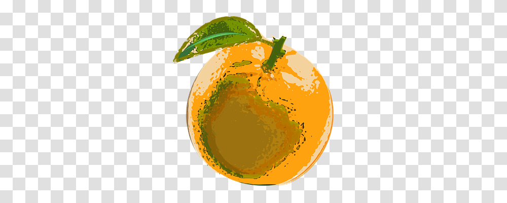 Vector Plant, Fruit, Food, Citrus Fruit Transparent Png