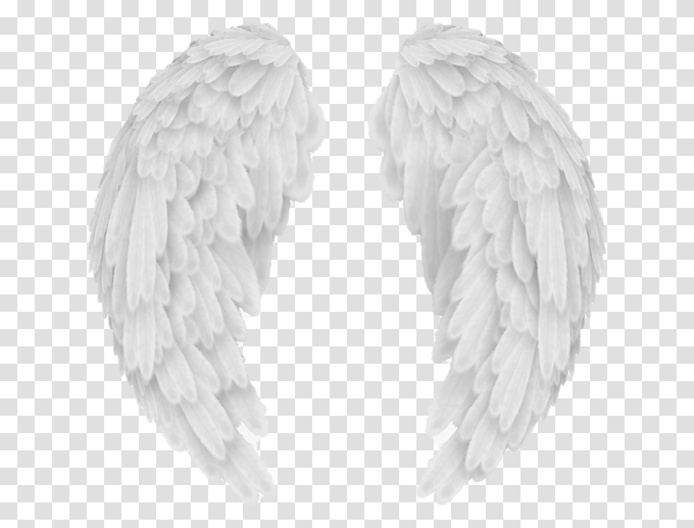 Vector Angel Wings Image Background Angel Wings, Pillow, Cushion, Bird Transparent Png