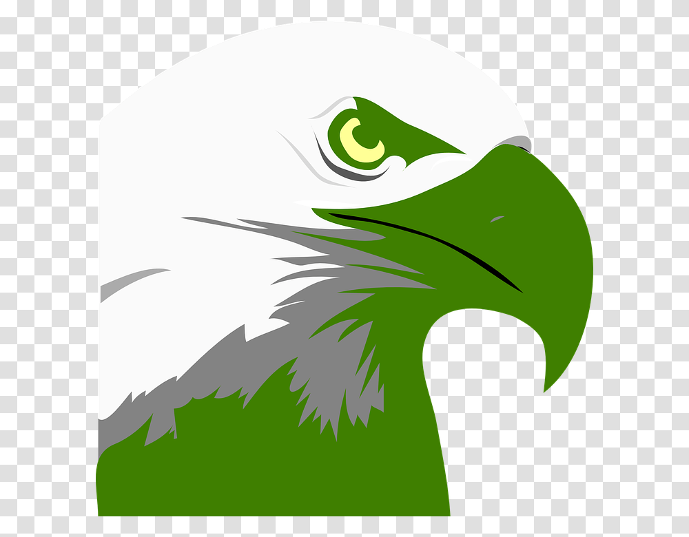 Vector Art Clipart Elang, Eagle, Bird, Animal, Beak Transparent Png