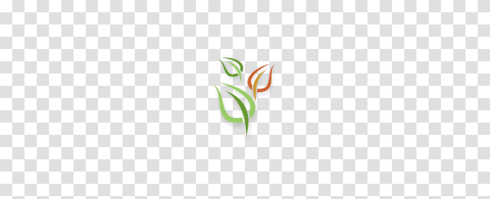 Vector Art Leaf Logo Download Vector Logos Free Download List, Plant, Dynamite, Floral Design Transparent Png