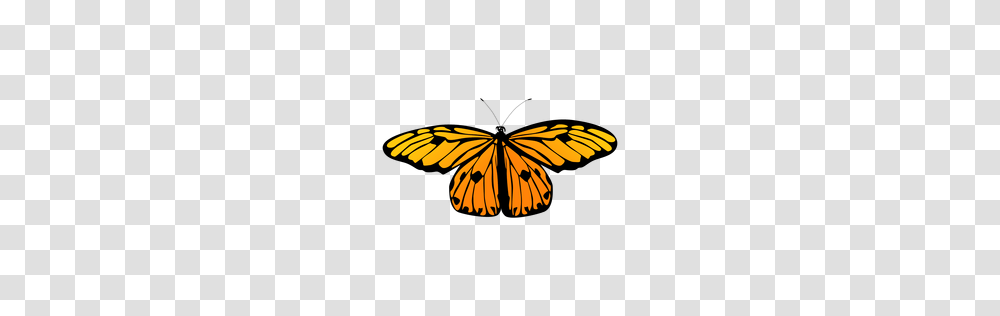 Vector Art Pngs, Insect, Invertebrate, Animal, Butterfly Transparent Png