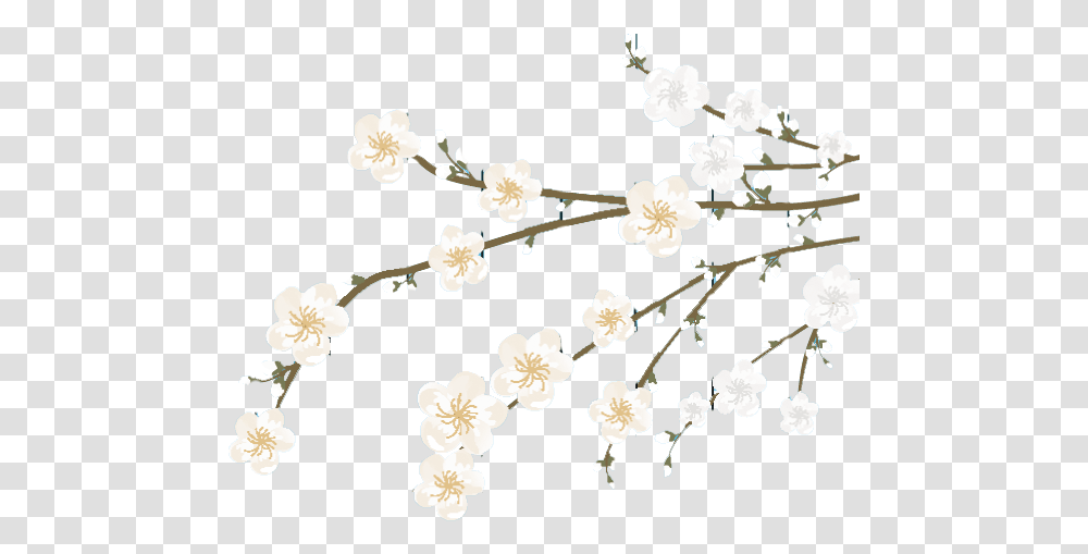 Vector Baby Flower, Plant, Blossom, Sweets, Food Transparent Png