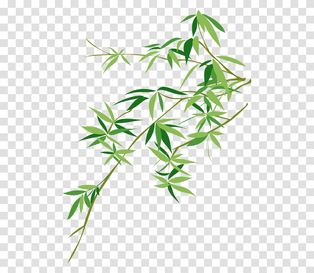 Vector Bamboo Bambusodae Painting Chinese Download Bamboo Leaf Vector, Plant, Hemp, Weed, Flower Transparent Png