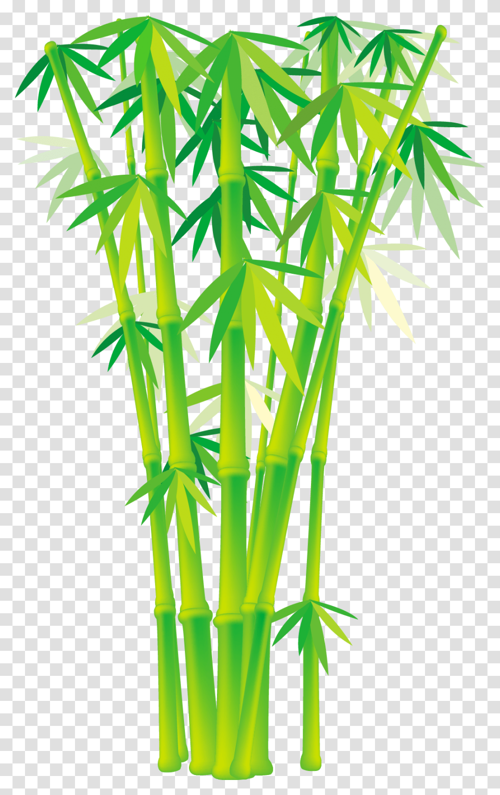 Vector Bamboo Free Download, Plant Transparent Png