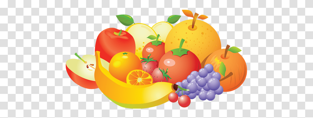 Vector Banner Fruit Fruits Vector, Plant, Citrus Fruit, Food, Birthday Cake Transparent Png